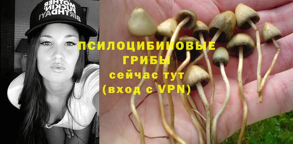 гашик Балабаново