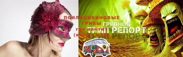гашик Балабаново