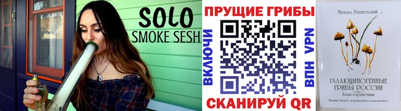 Псилоцибиновые грибы Psilocybe  Серафимович 