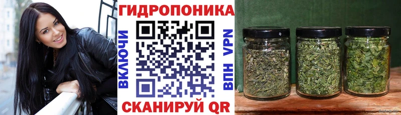 купить  цена  Серафимович  Каннабис Amnesia 